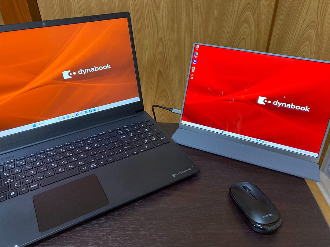 second monitor for laptop