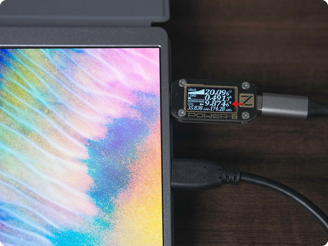 portable monitor with low power consumption