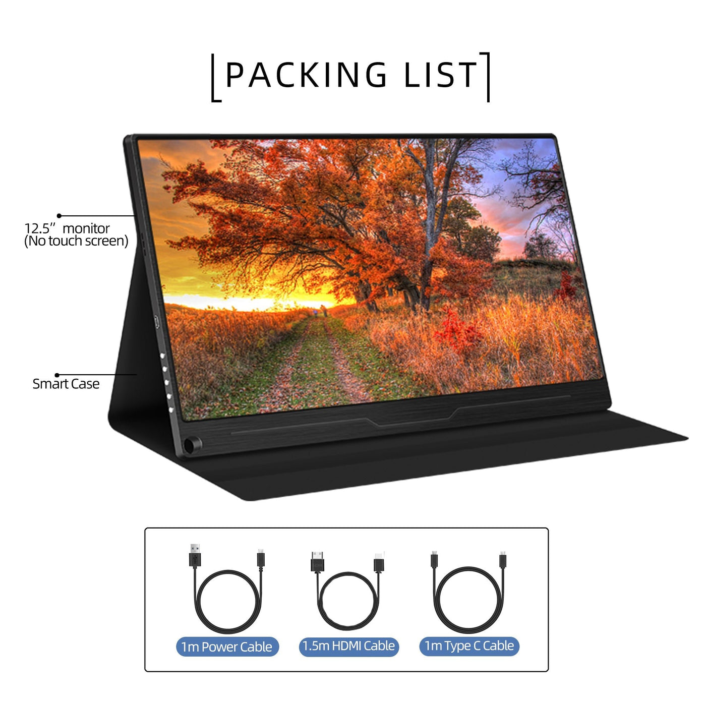 12.5 inch hdmi monitor