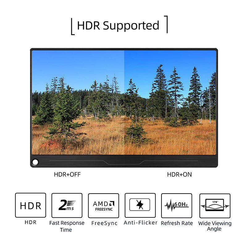 HDR portable monitor
