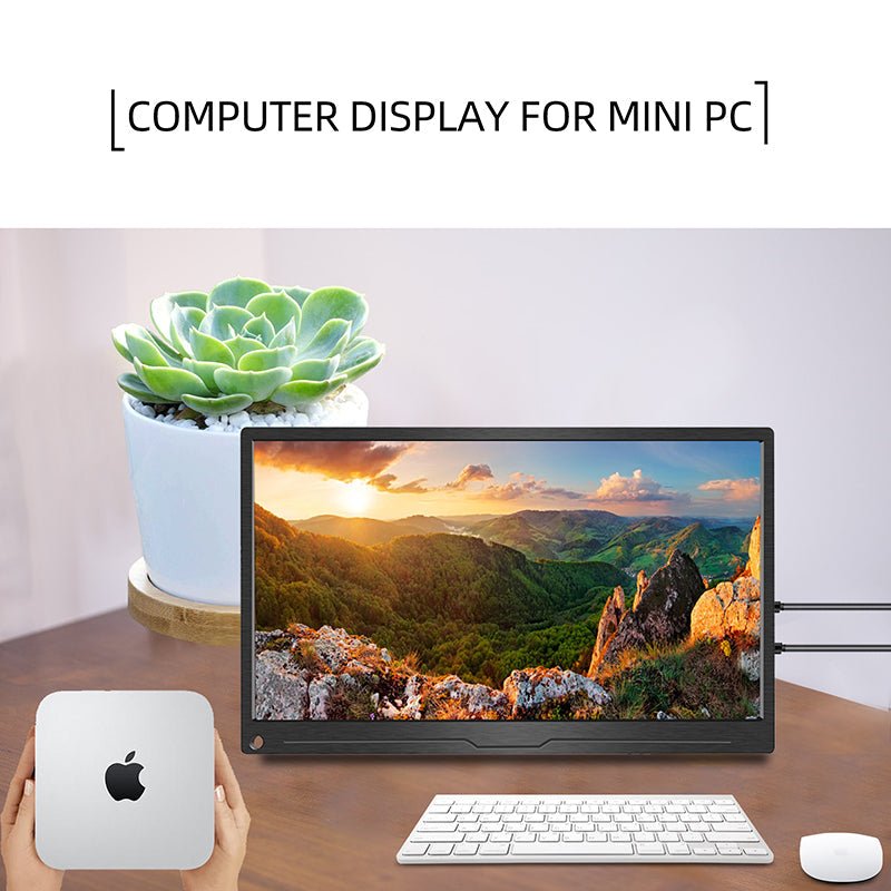 monitor for mini pc
