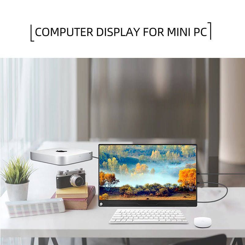 computer monitor for mini pc
