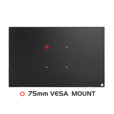 portable monitor with vesa mount