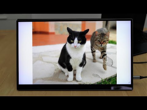 Portable Touch Screen Monitor with 15 and 16 inch QLED Panel